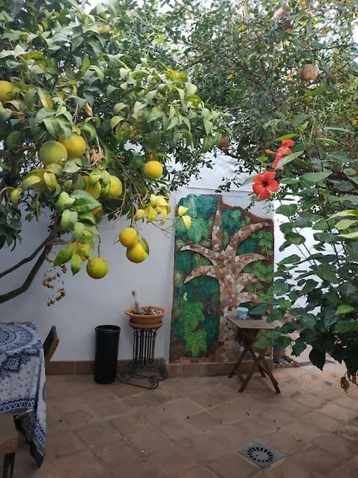 Ferienhaus Villa Casa Andreas Periana